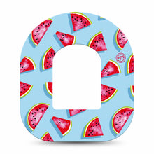 ExpressionMed Watermelon Slices Adhesive Patch Omnipod